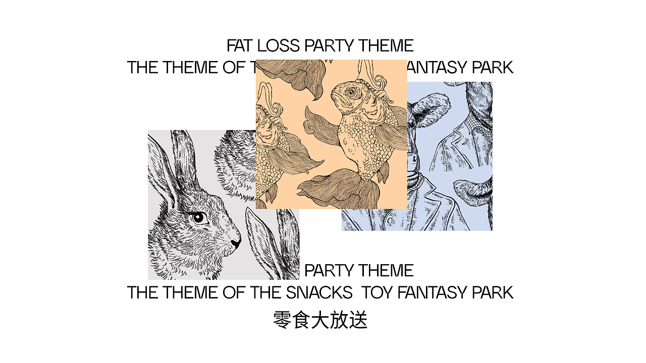 《 暖 》宠物生活方式品牌 — 猫咪生活家