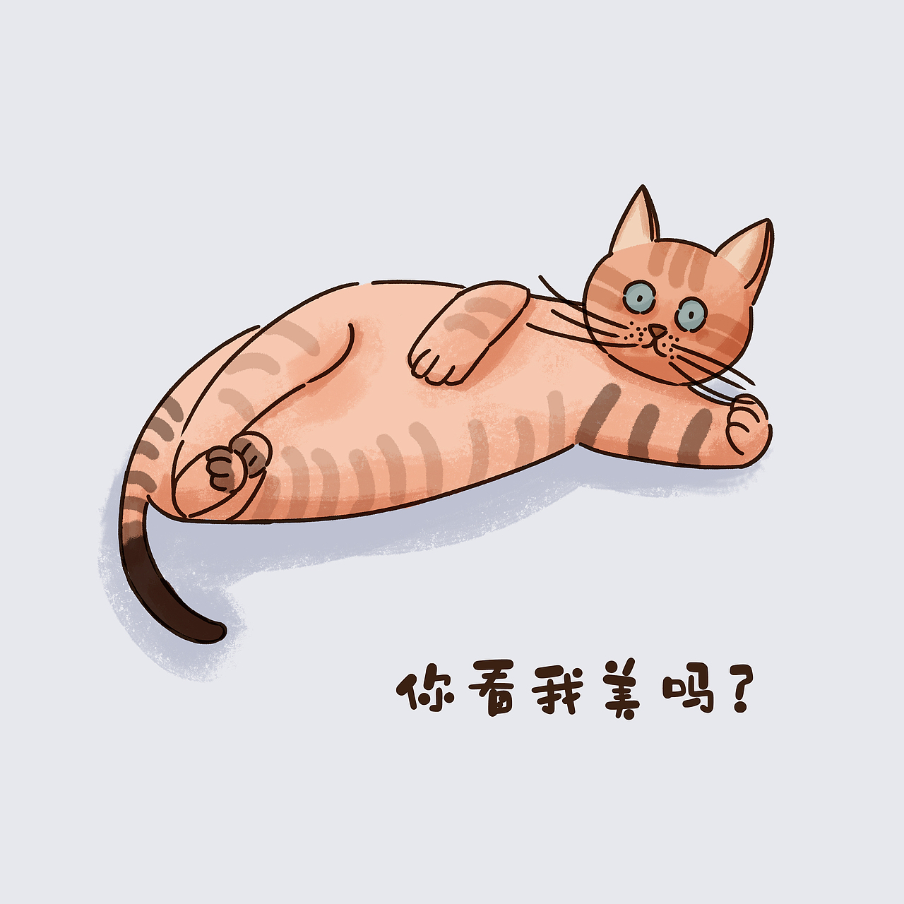 【喵言喵语】挑战30天打卡30只猫咪插画