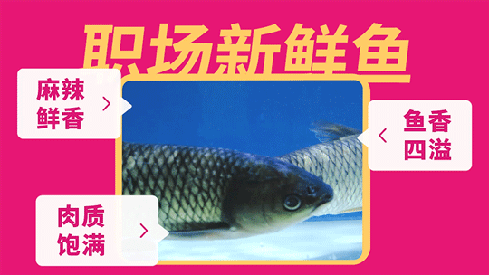 餐饮新年上新推文