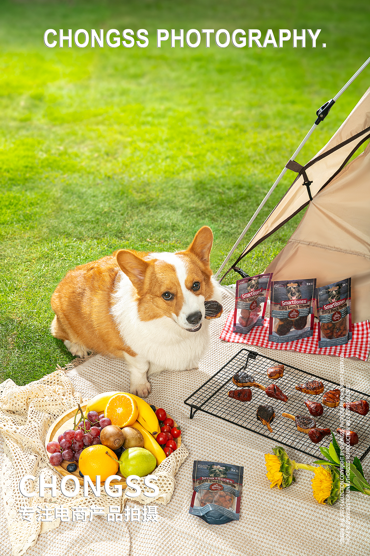 宠物食品拍摄/宠物零食拍摄/佩蒂股份（图ZMzEwNTgxNDAw） - 产品摄影 - 站酷设计师宠叔叔传媒原创素材 - 站酷ZCOOL