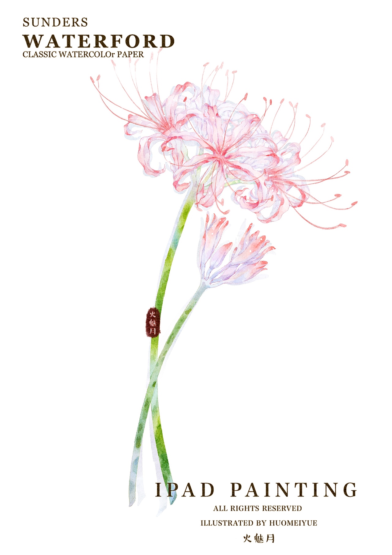 彼岸花