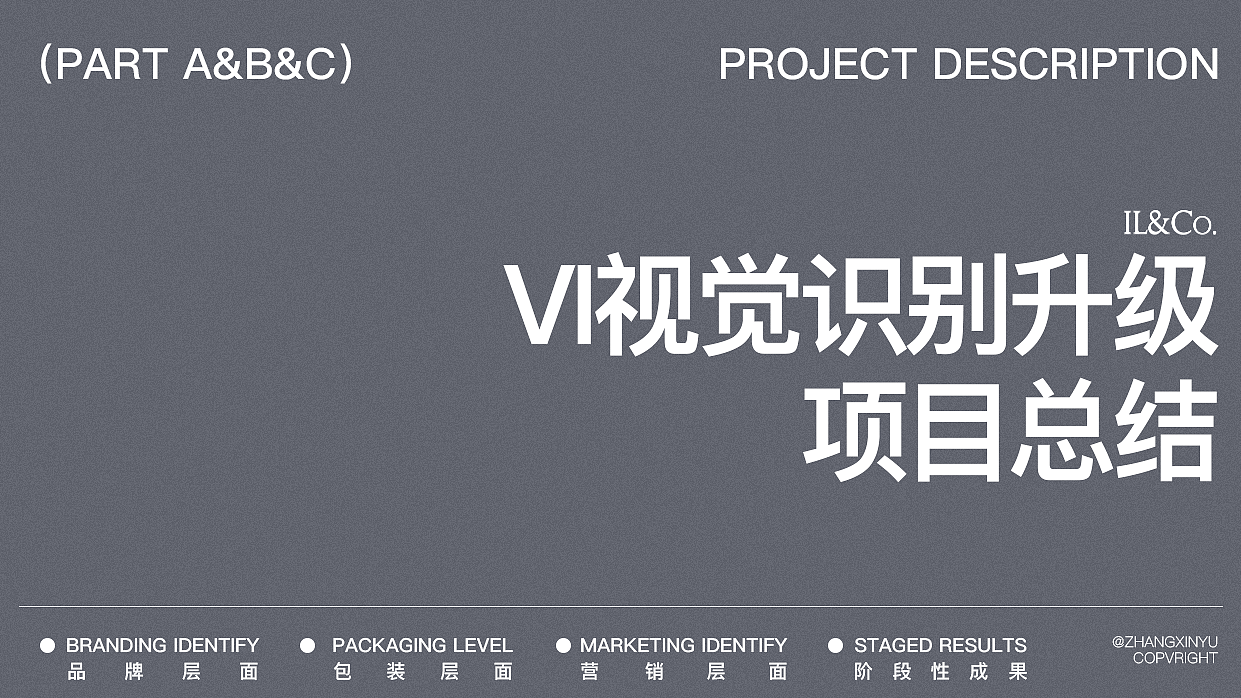 项目总结 VI视觉识别升级