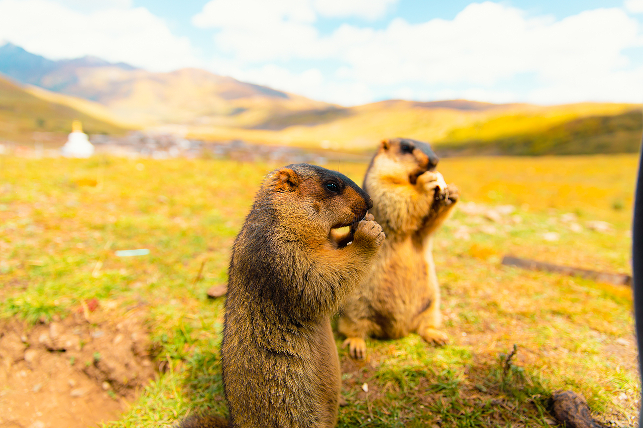 格聂南线X月亮湖