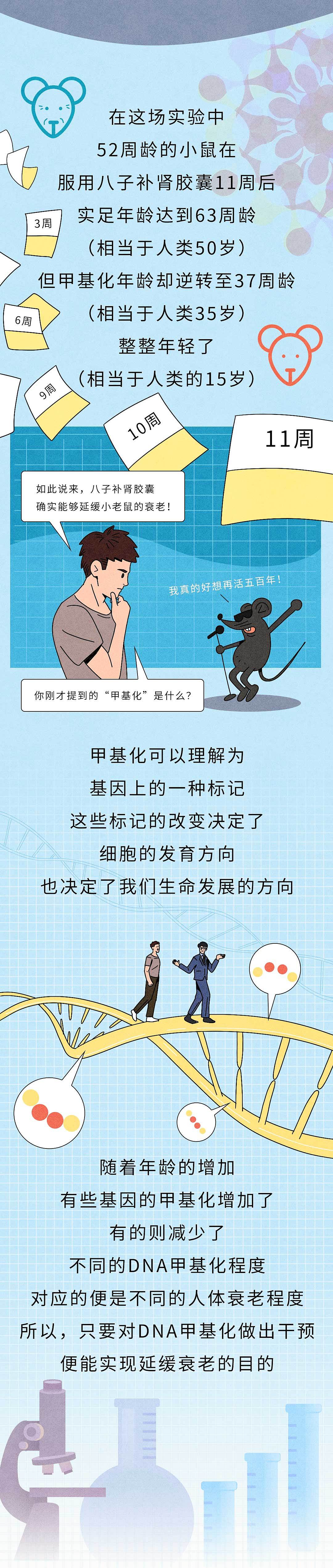 条漫】码克图闻 X 八子补肾
