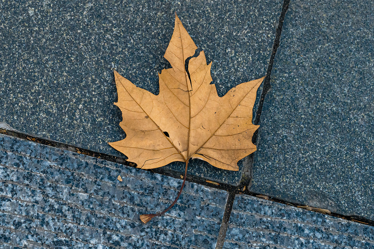 12月周末西湖周边街拍（图ZMzI2MjM2NzI4） - 风光摄影 - 站酷设计师秋之诺原创素材 - 站酷ZCOOL