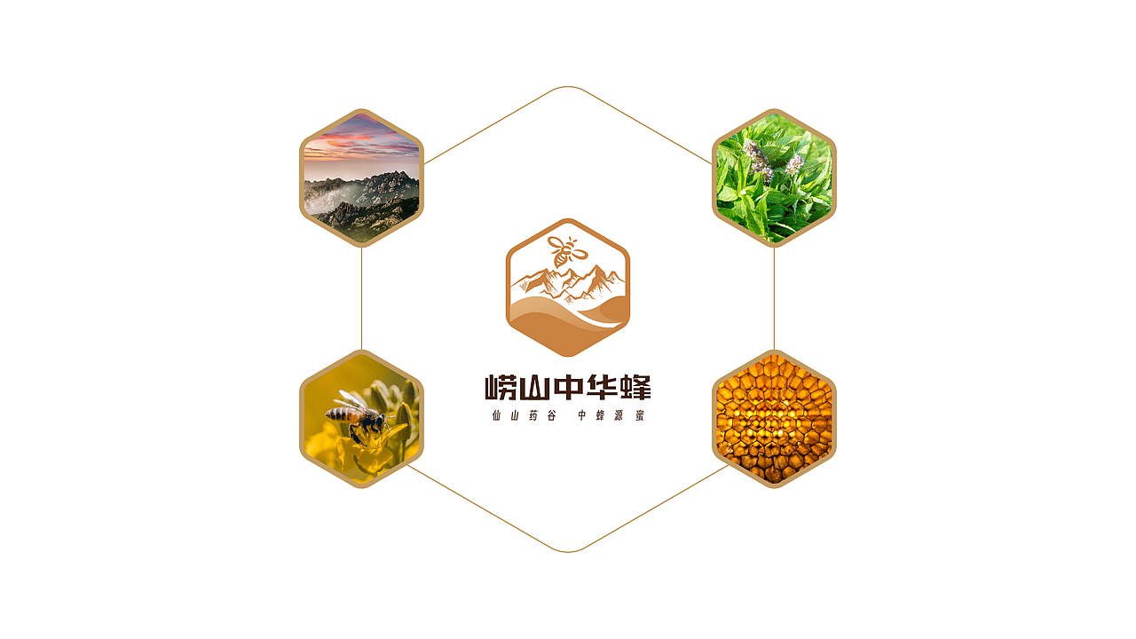 中华蜂蜂蜜标志设计