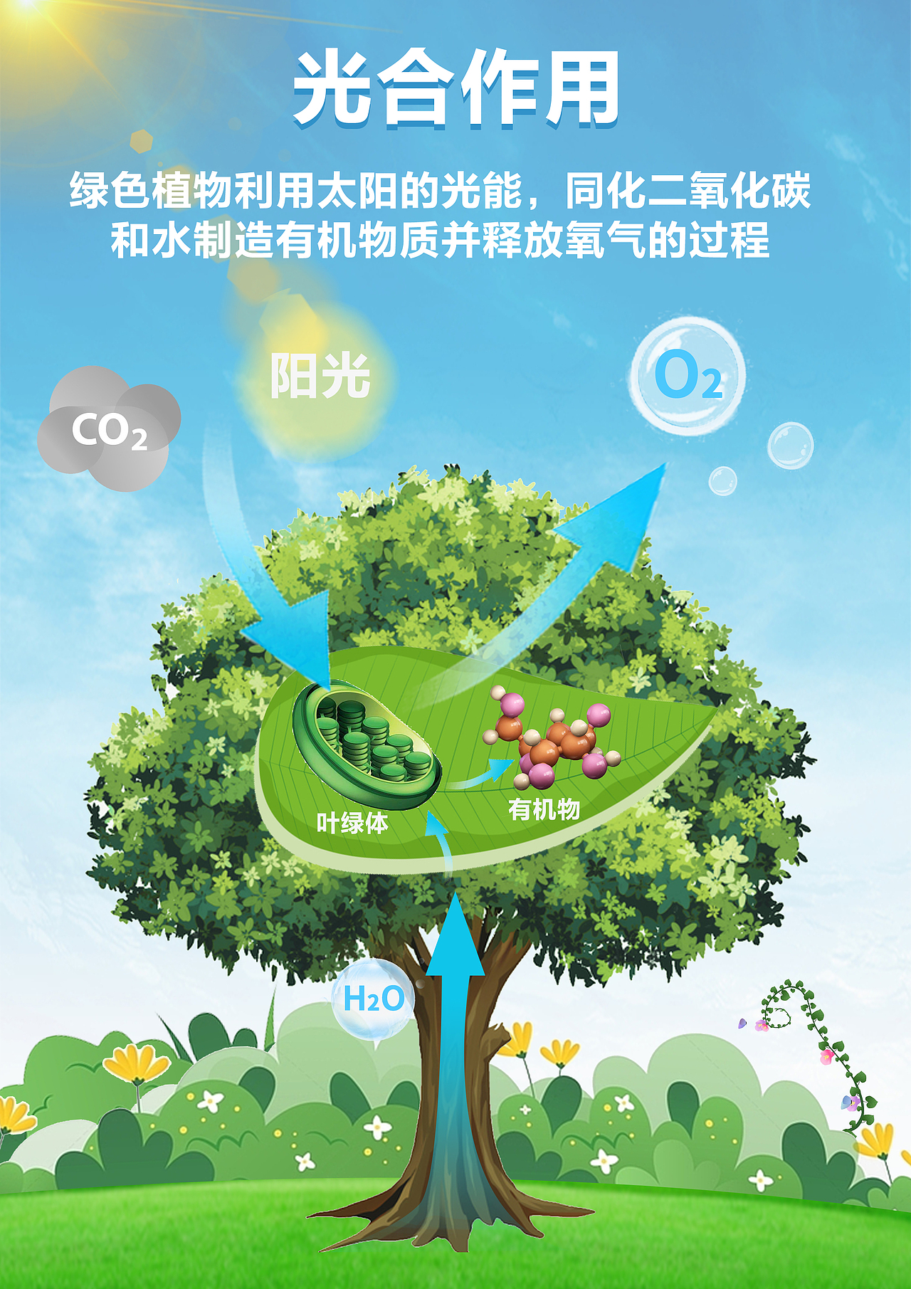 农业科普海报（图ZMzUxMTI2ODA0） - 海报 - 站酷设计师唯一的泳桓桓呀原创素材 - 站酷ZCOOL