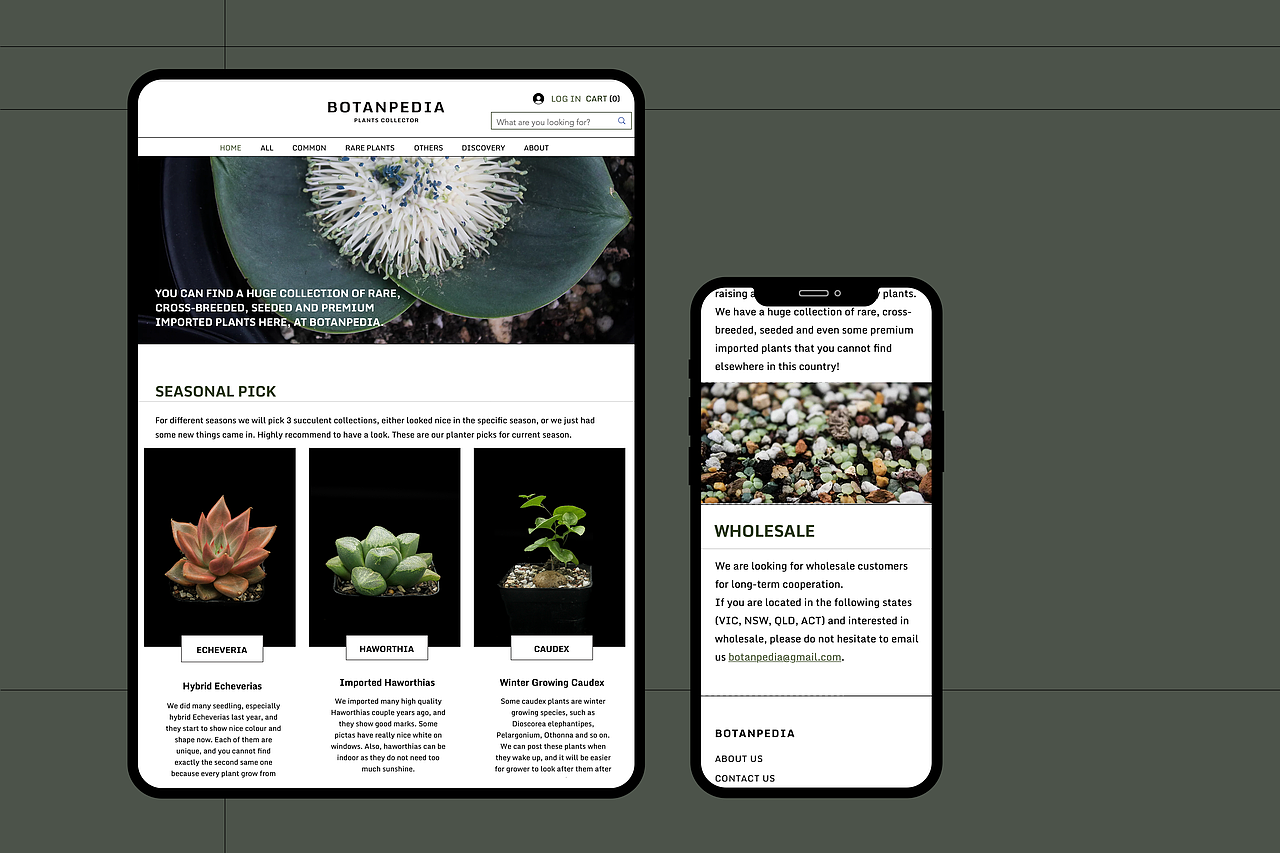 BOTANPEDIA 多肉植物专卖店 (2023)（图ZMzIwOTIyNTE2） - 品牌 - 站酷设计师ONOFF工作室原创素材 - 站酷ZCOOL