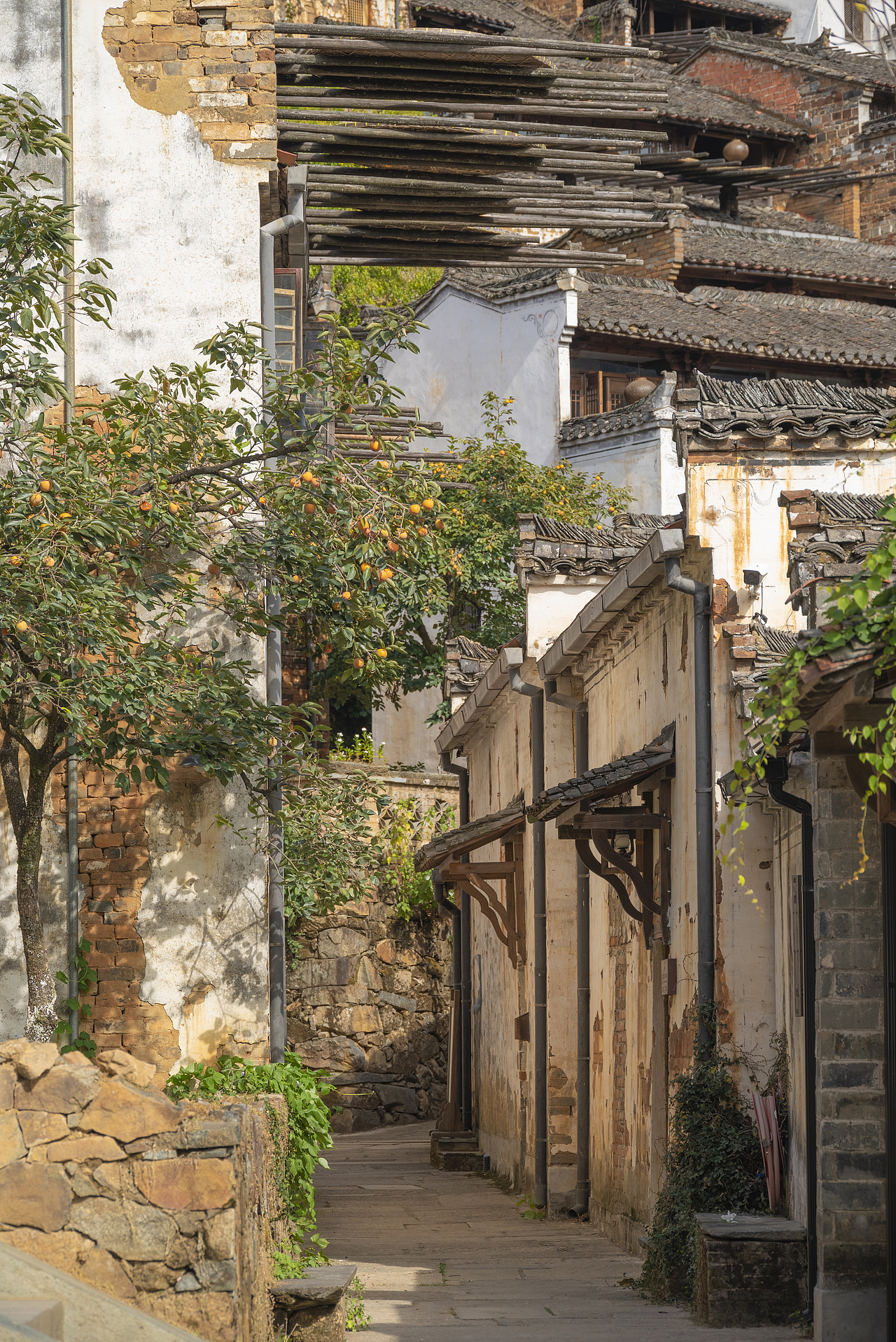 一个人的旅行-婺源篁岭（图ZMzIwNDU1OTQw） - 风光摄影 - 站酷设计师文艺田原创素材 - 站酷ZCOOL