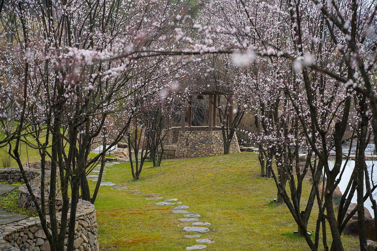 少有的到石頭景區(qū)（圖ZMzUyMzM2NTI0） - 風光攝影 - 站酷設計師驚風wjf原創(chuàng)素材 - 站酷ZCOOL