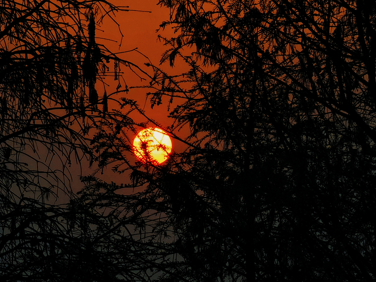 日出日落（图ZMzUyNDY1NTM2） - 风光摄影 - 站酷设计师园游会有缘原创素材 - 站酷ZCOOL