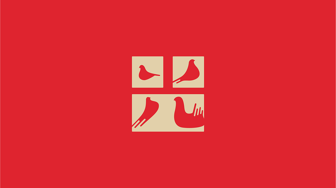 光明鸽餐饮设计