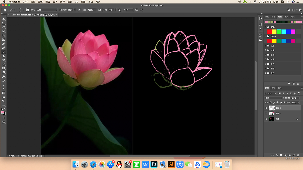 【我的超级临摹】Wacom影拓4手绘板+PS，荷花（图ZMjk4MTY5NDg4） - 创作习作 - 站酷设计师箐绿芊芊原创素材 - 站酷ZCOOL