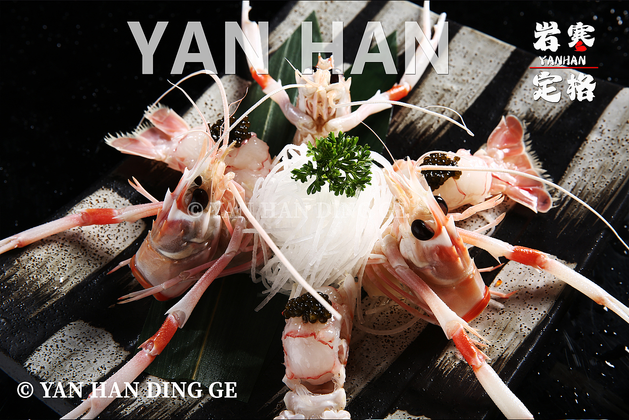 新西兰鳌虾拍摄