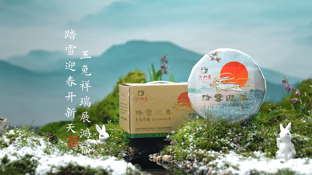 春| 普洱茶广告影片｜踏雪迎春（图ZMzM3NTIyODY0） - 宣传片 - 站酷设计师摄影师大桂原创素材 - 站酷ZCOOL