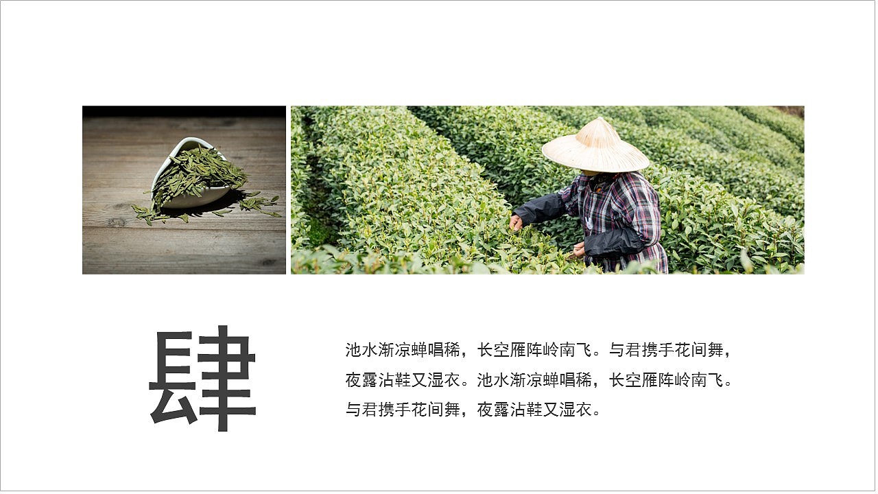 创意中国茶文化春茶新上市宣传画册PPT模板（图ZMjk2Mzk4NzQ4） - PPT/Keynote - 站酷设计师豚设计原创素材 - 站酷ZCOOL