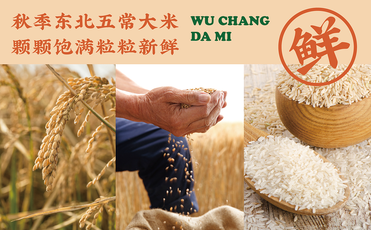 【HDD作品】成都赖老大&卤汁剁椒猪脚饭