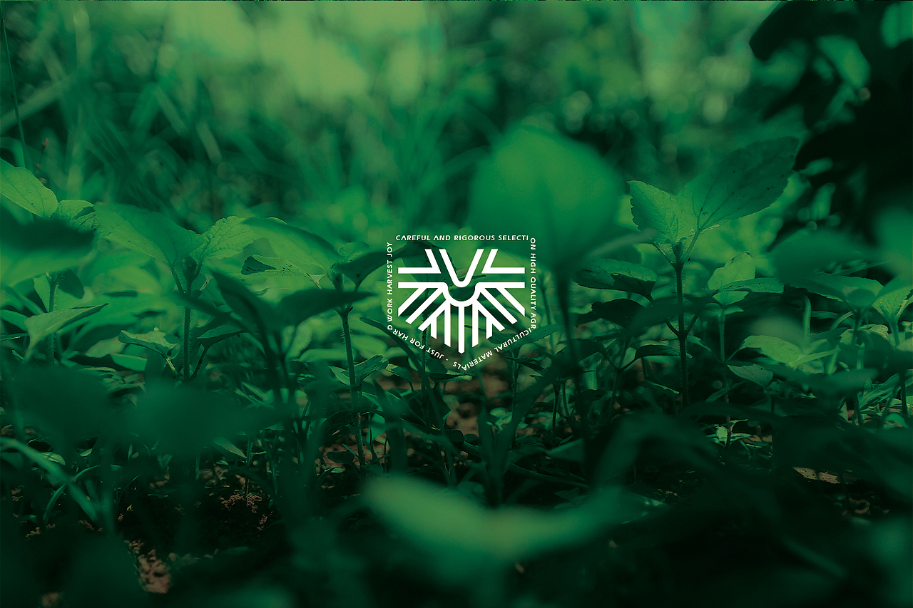 鑫选SELECT | 只为丰收喜悦