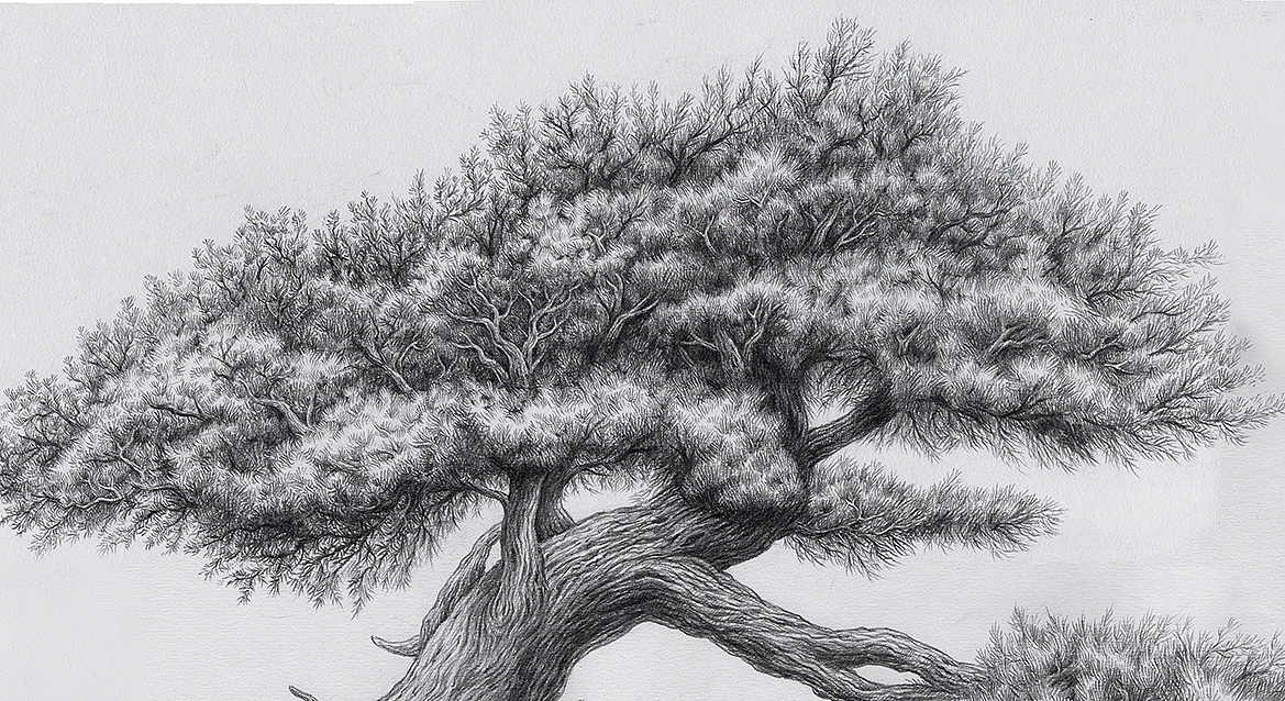 为“宫廷文化”绘制的素描风插画（图ZMzIxNTU0ODky） - 商业插画 - 站酷设计师傅淳强画者之旅原创素材 - 站酷ZCOOL