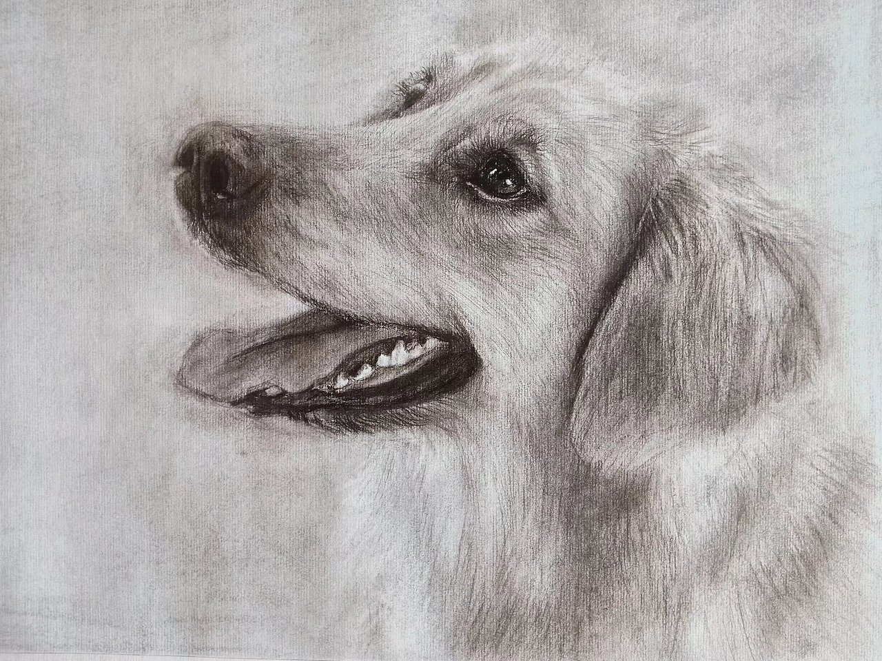 十年前炭笔画的素描长什么样?