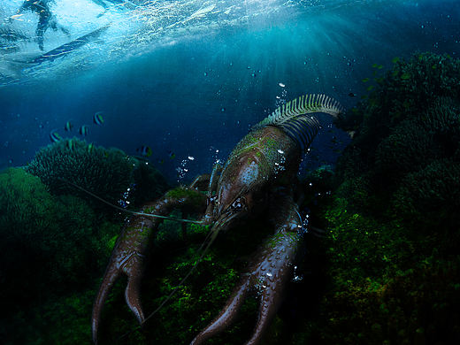 海鲜创意海报（个人主页-ZNjA2NTI2ODA=） - 海报 - 站酷设计师小黄吃不动了原创素材 - 站酷ZCOOL