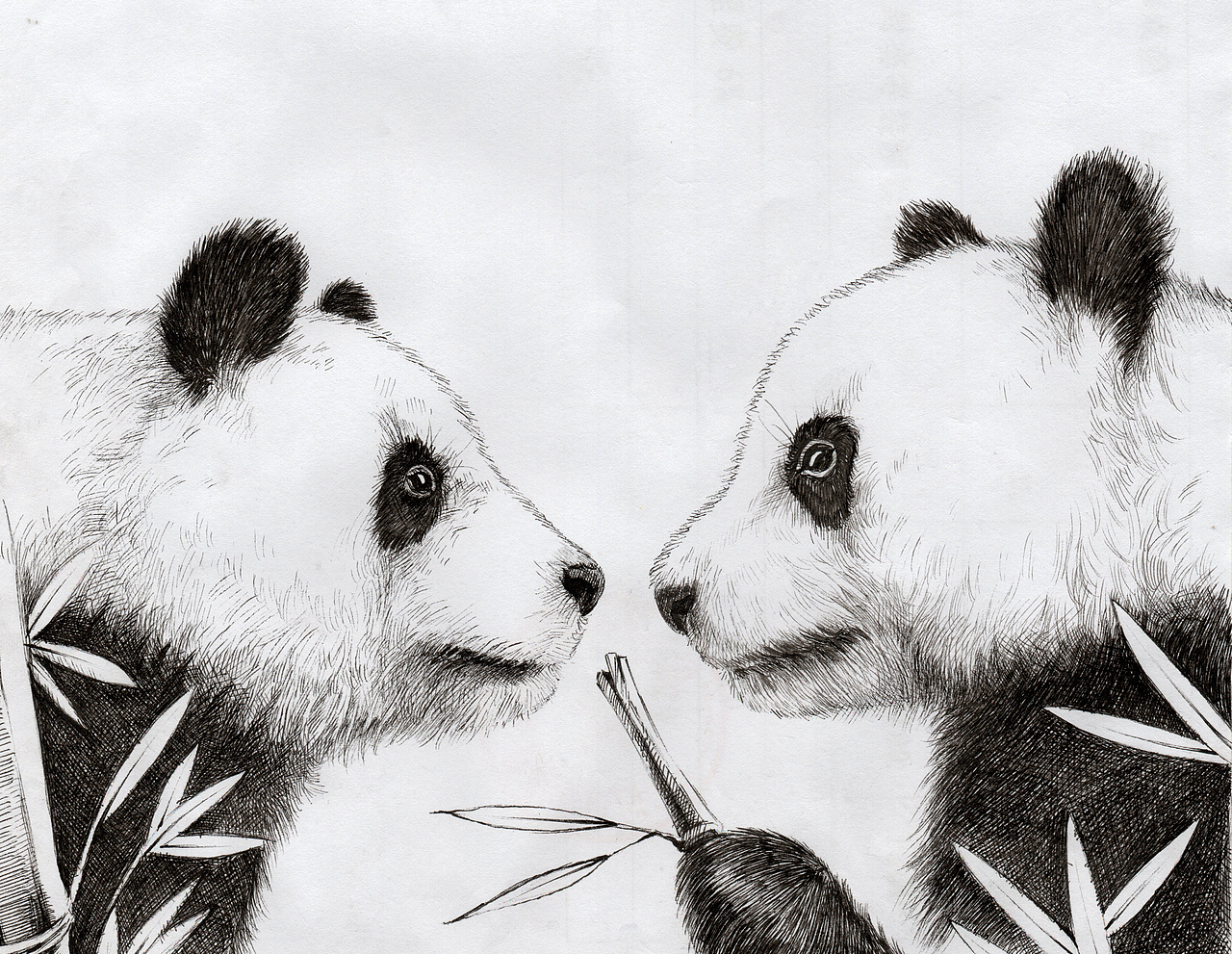 熊猫手绘（图ZMzA5ODE1ODc2） - 商业插画 - 站酷设计师天府举人原创素材 - 站酷ZCOOL