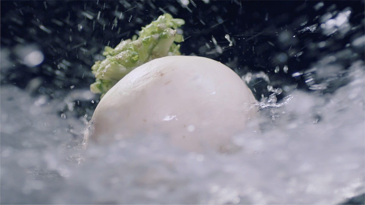 綦江赶水萝卜品牌全案策划