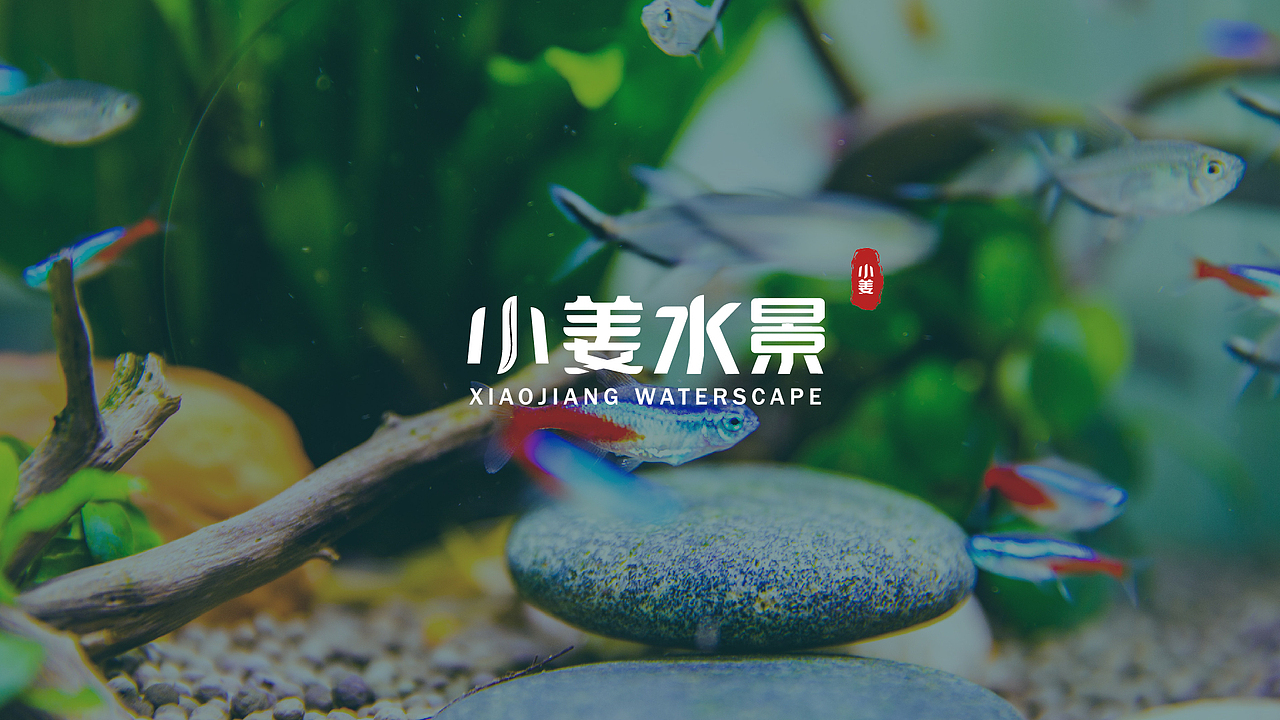 小姜水景——LOGO设计（图ZMzA0NzY3NzEy） - Logo - 站酷设计师三七四十九原创素材 - 站酷ZCOOL