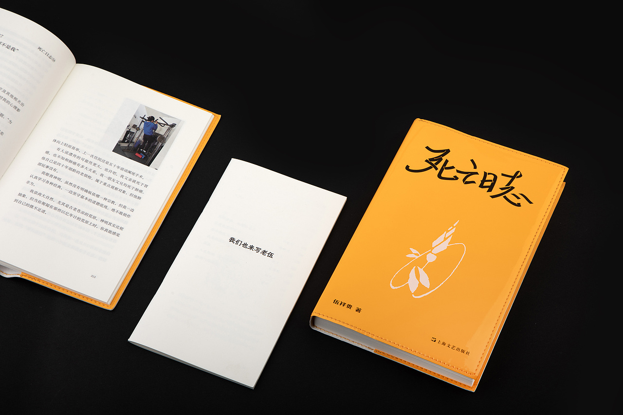 《死亡日志》(图ZMzU4NDQzOTc2) - 书籍/画册 - 站酷设计师李政坷原创素材 - 站酷ZCOOL