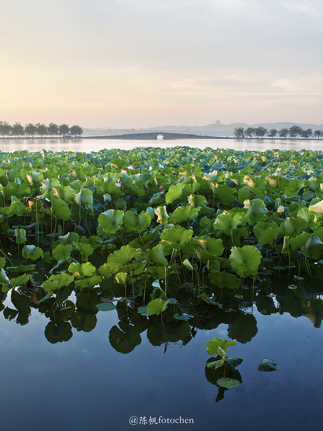 夏日之后的山水重逢｜九月杭州。（图ZMzUwNTkzMjg4） - 风光摄影 - 站酷设计师陈帆fotochen原创素材 - 站酷ZCOOL