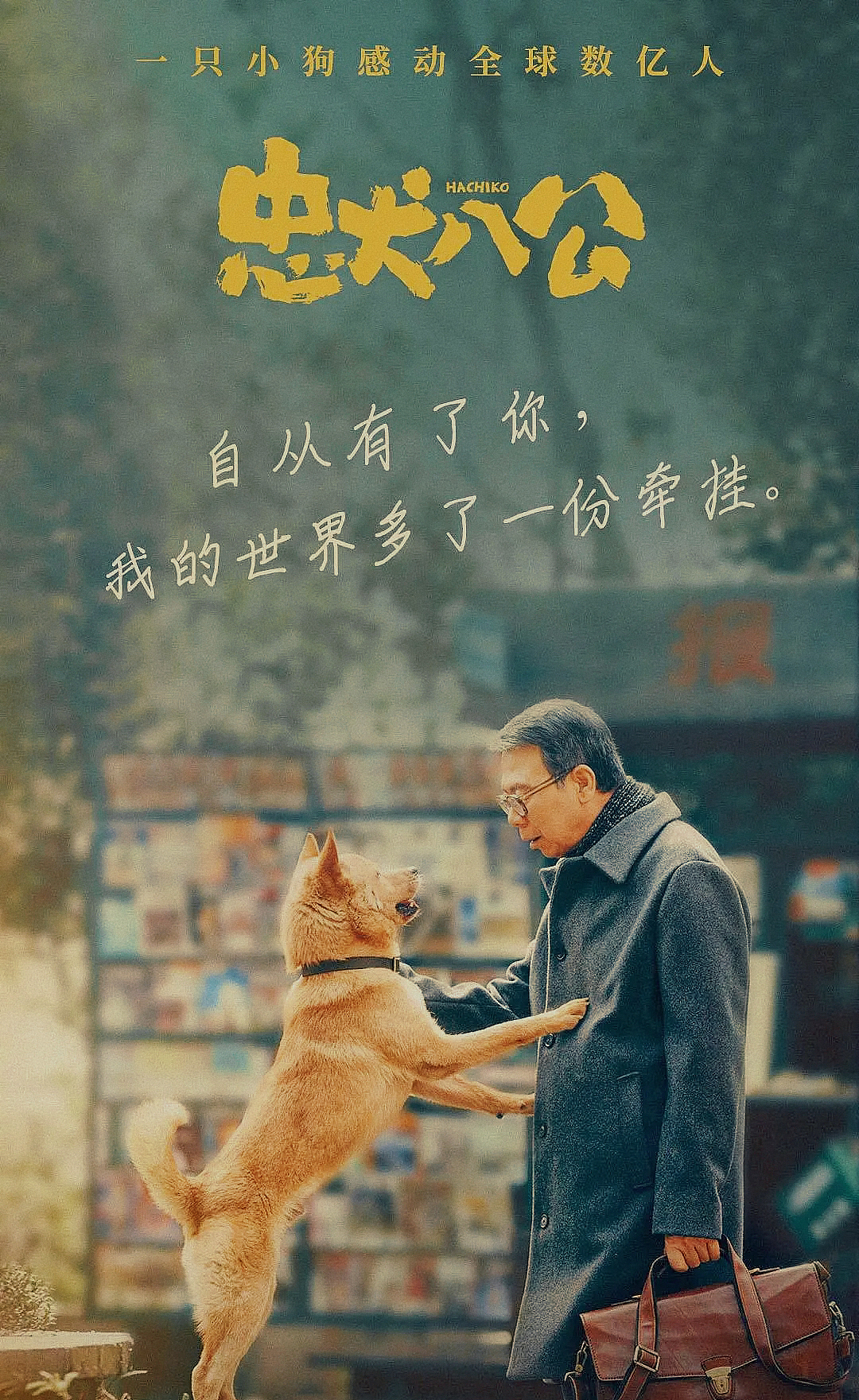 带着阿拉去看电影这是一只小狗感动全球数亿人的故事.（图ZMzM2NDg3MTg4） - 宠物摄影 - 站酷设计师小短腿的忧伤原创素材 - 站酷ZCOOL