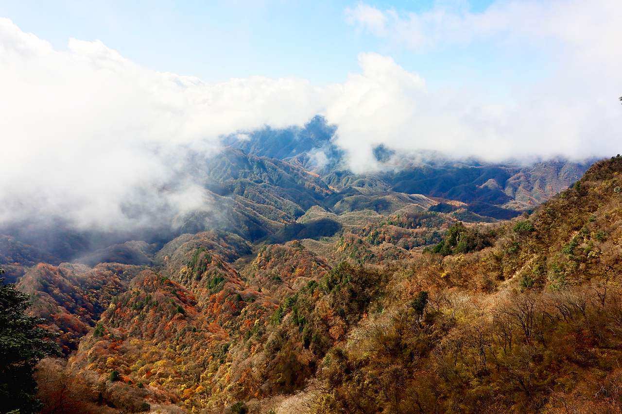光雾山（图ZMzIxNDE2NDcy） - 风光摄影 - 站酷设计师mint123原创素材 - 站酷ZCOOL