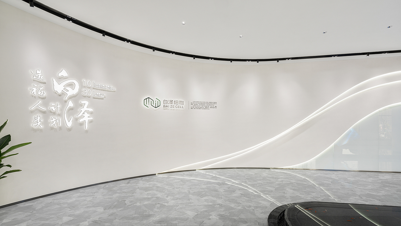 柒米设计 | 白泽细胞