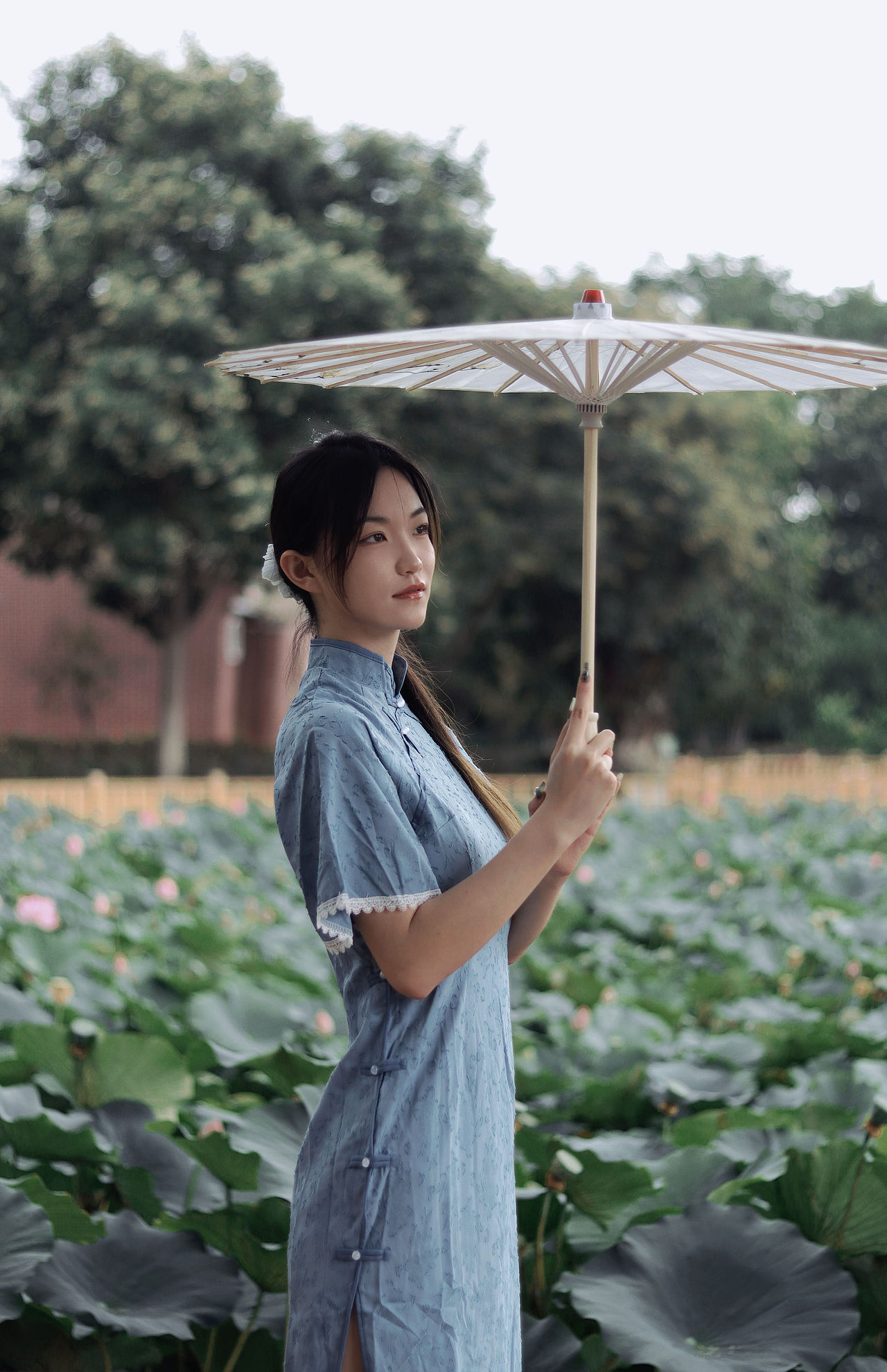 民国三年等不到一场雨