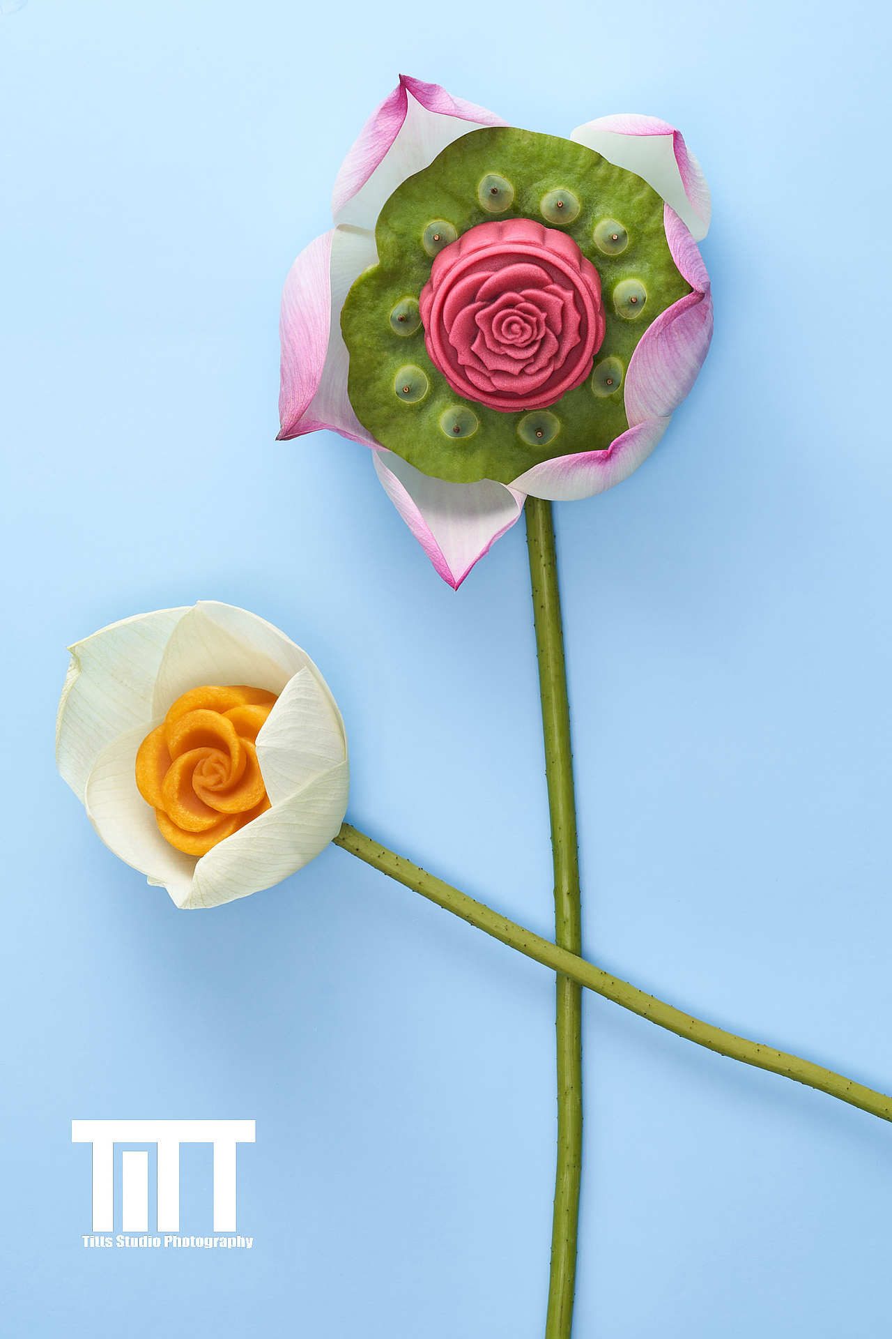 月饼项目 | Daily Feast ✖ TiTTS