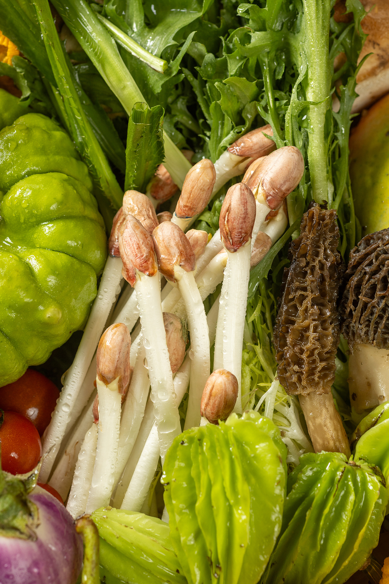 云南特色菜 菜品拍摄 美食拍摄 滇菜（图ZMzU2OTIzODA4） - 产品摄影 - 站酷设计师Sunny潮叫兽原创素材 - 站酷ZCOOL