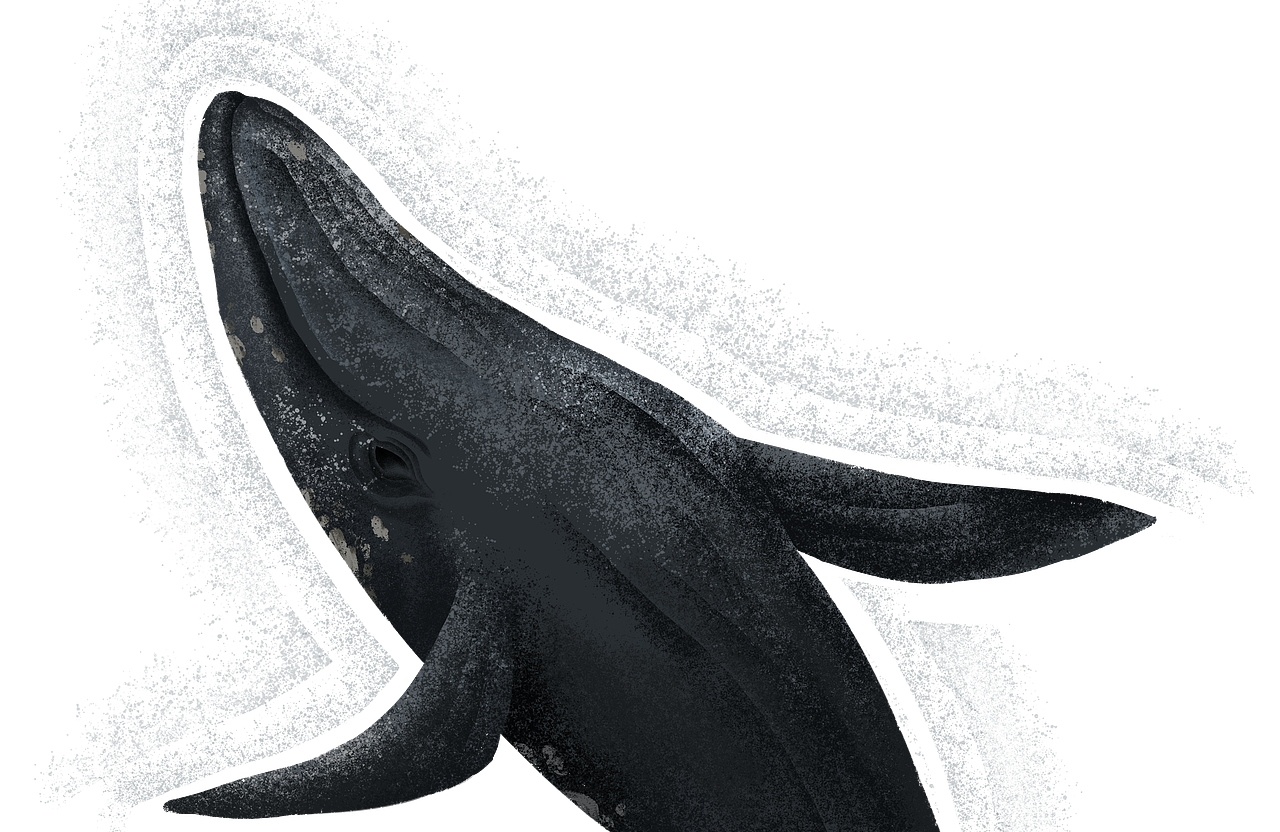 荣耀赛事插画作品整合