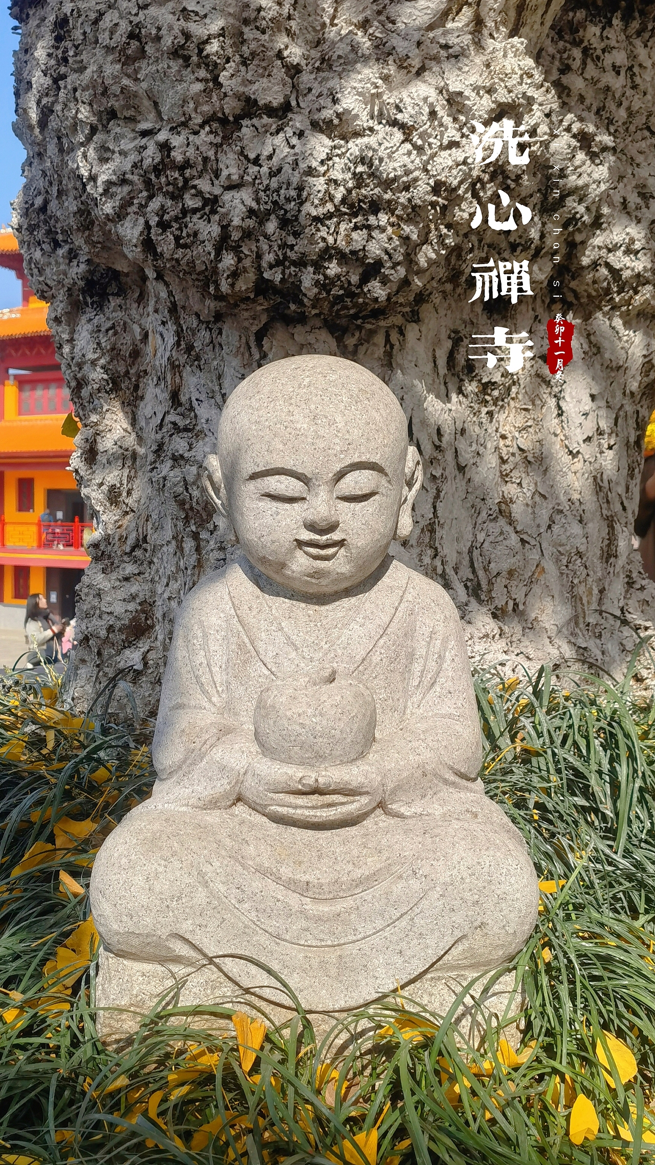 洗心禅寺-2023年秋