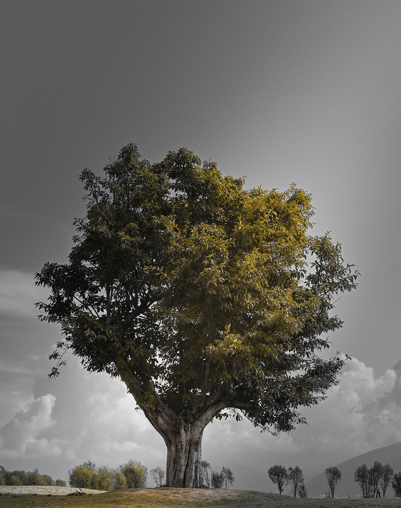 初入摄影,记录生活