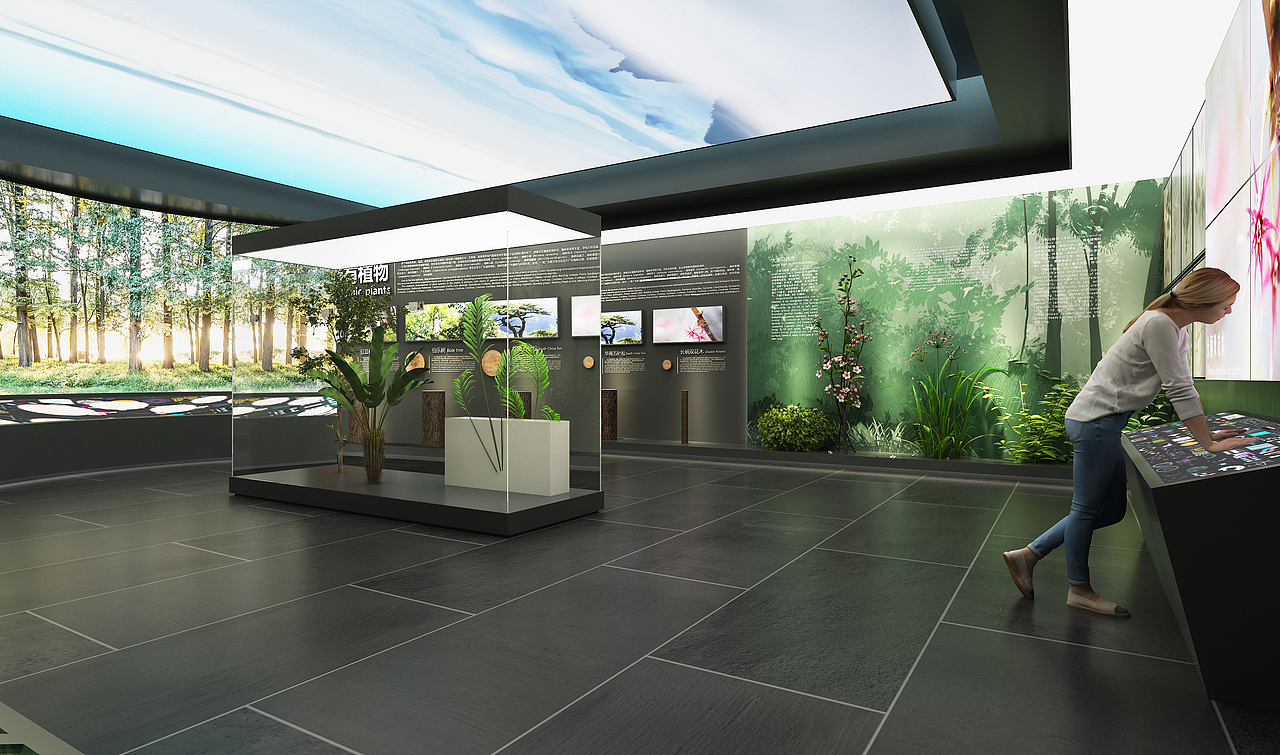 南邻自然博物馆-巍巍南岭-植物馆