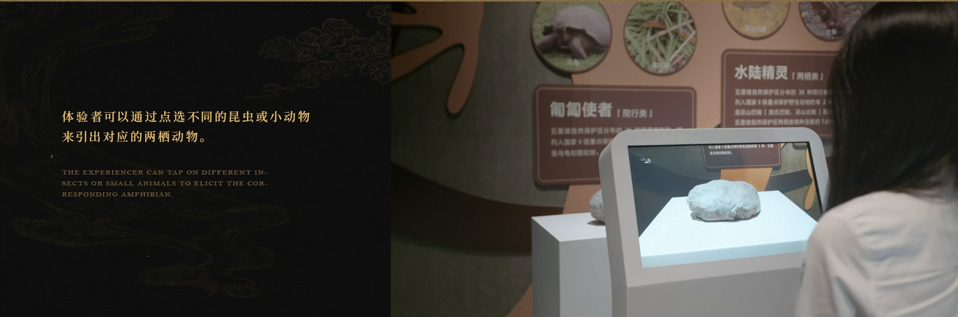“巫山”自然遗产馆与规划展示馆（下）（图ZMzU1NDI2MDcy） - 展陈设计 - 站酷设计师X_lab原创素材 - 站酷ZCOOL