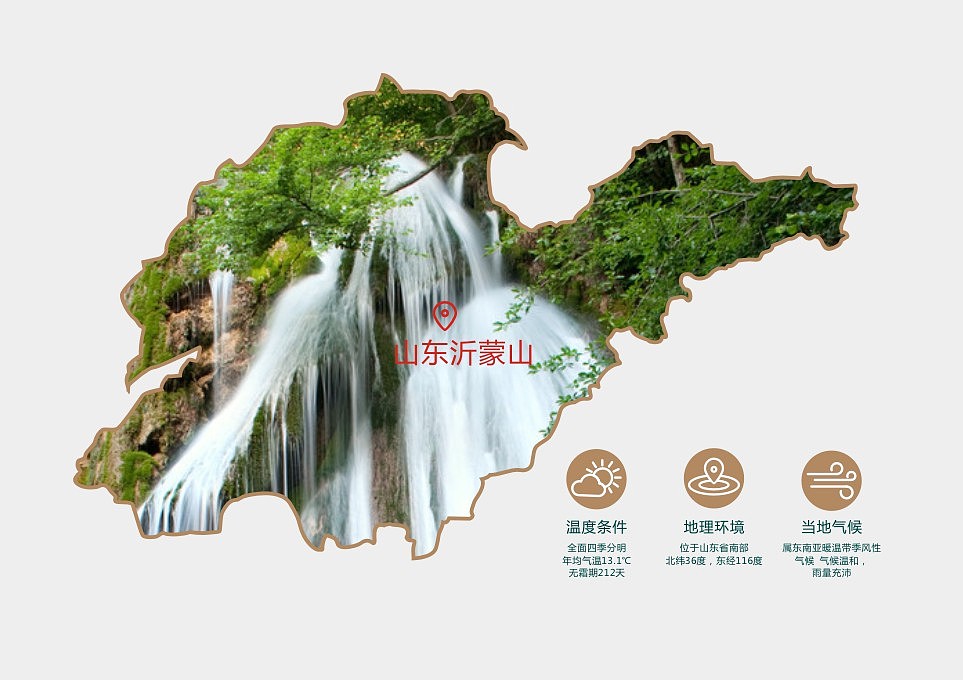 赛凤凰炒公鸡（图ZMzE3MDk0MDMy） - 品牌 - 站酷设计师阿七设计原创素材 - 站酷ZCOOL