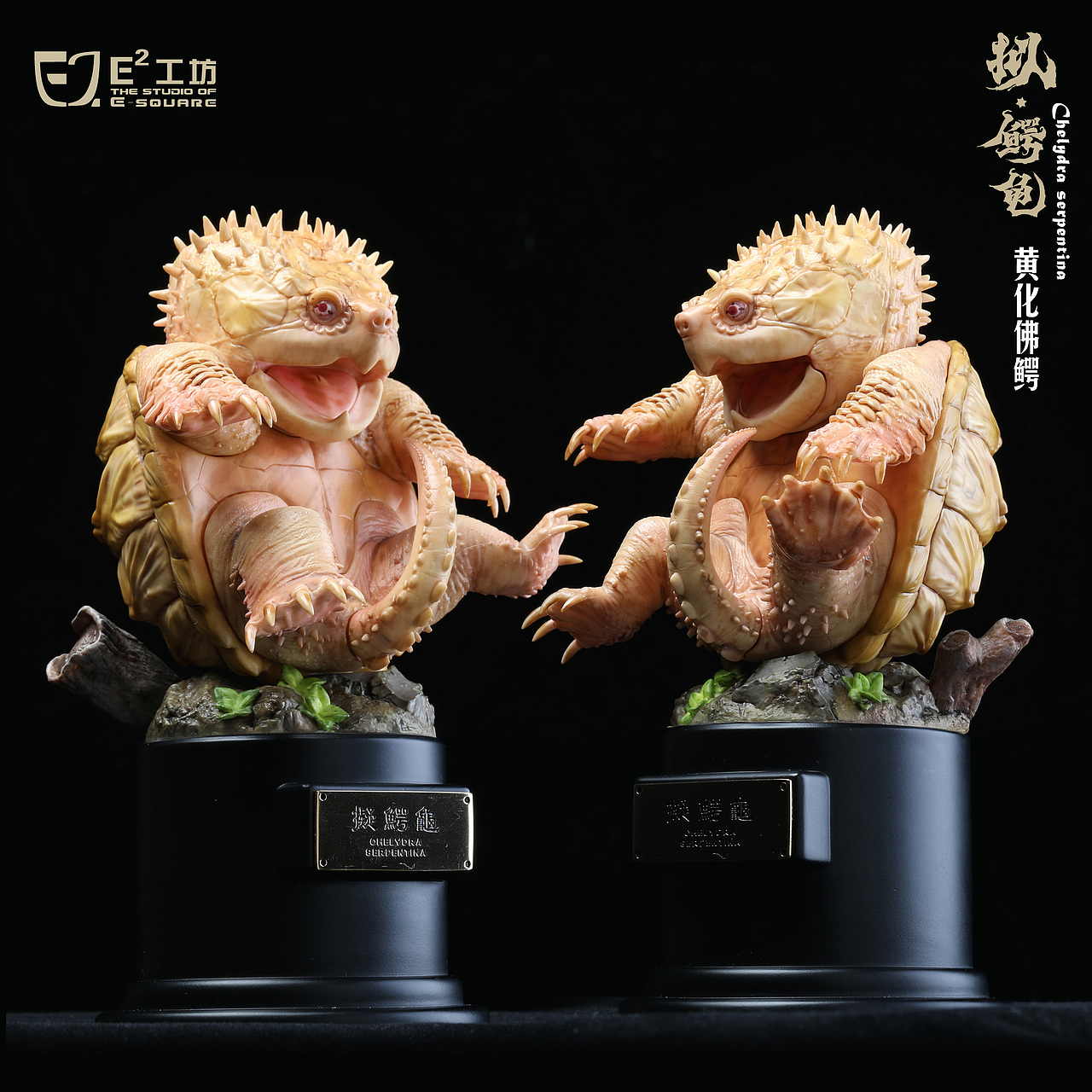 2023鳄龟系列--拟鳄龟(图ZMzU1MzQ1MTcy) - 手办/模玩 - 站酷设计师胡狼原创素材 - 站酷ZCOOL