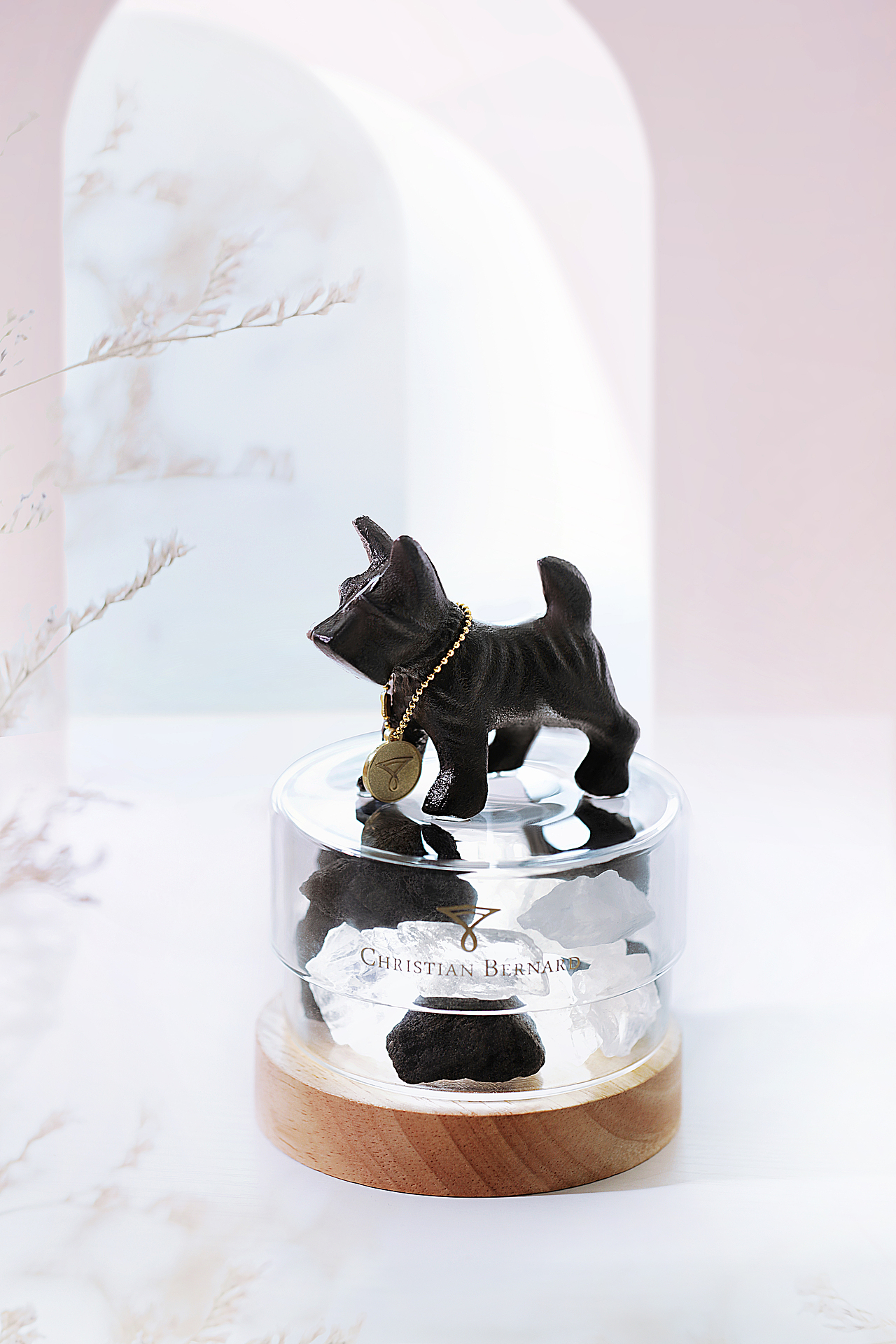 伊甸花园——波尔卡系列