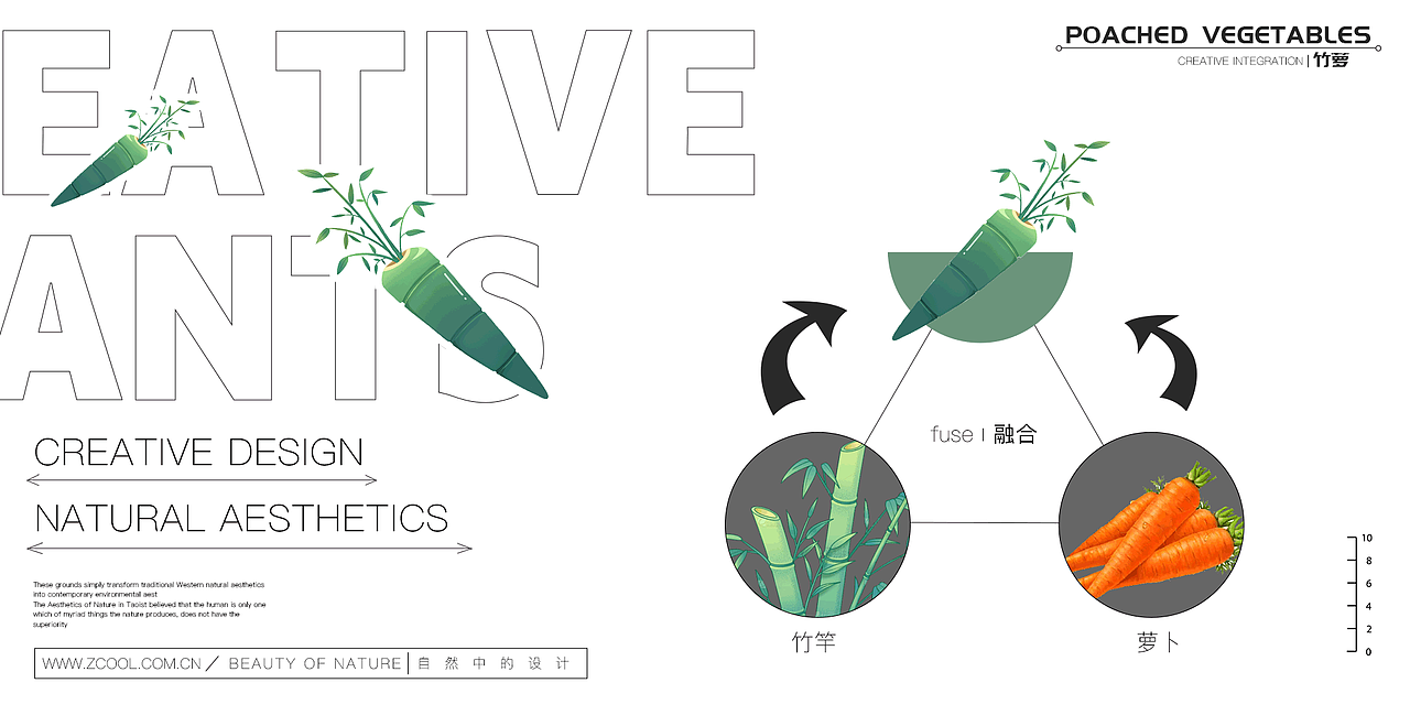 Botany创意植物插画×元素海报