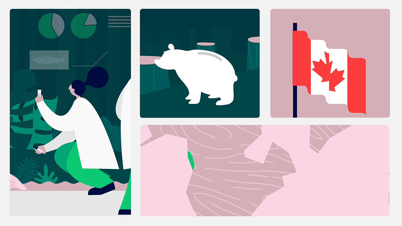 一个完美的自然博物馆?