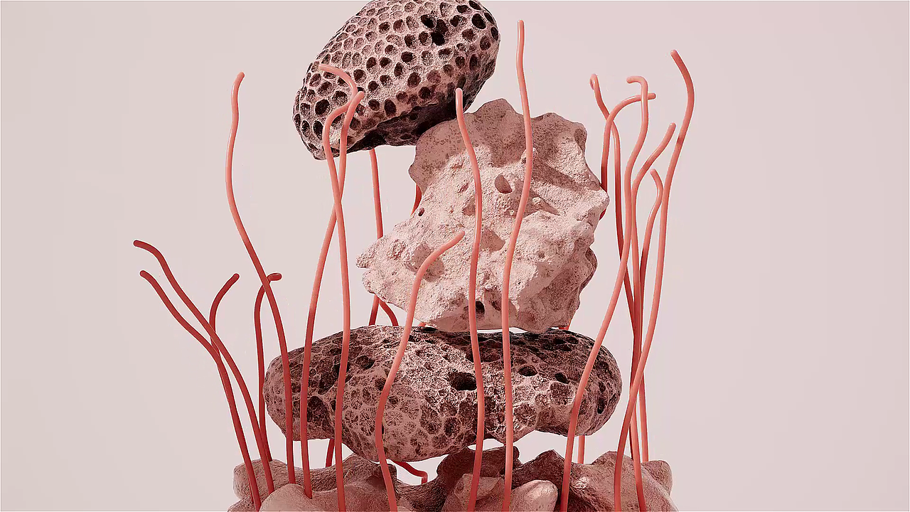 猫王音响动画案例练习