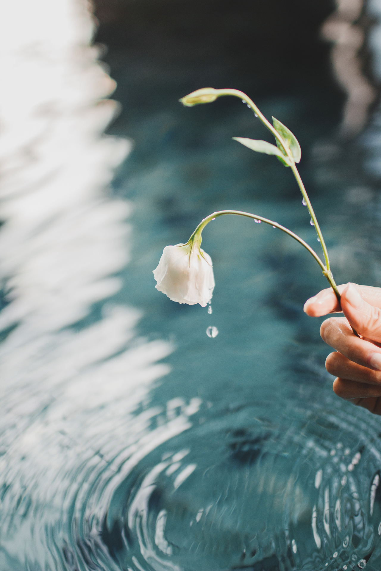 她很迷人，因为她擅长做自己