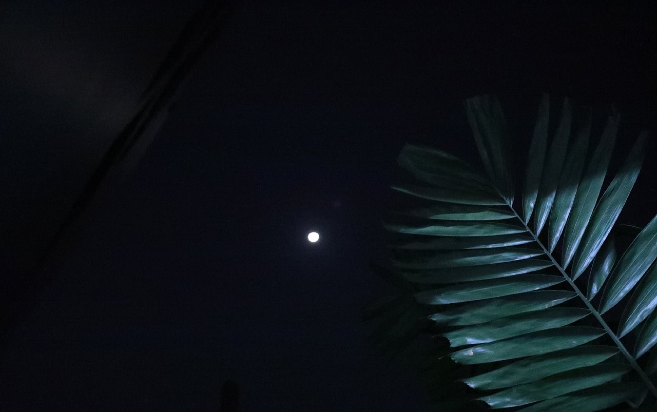 “光”（图ZMzM0NjY4MDA4） - 风光摄影 - 站酷设计师白白是日梦原创素材 - 站酷ZCOOL