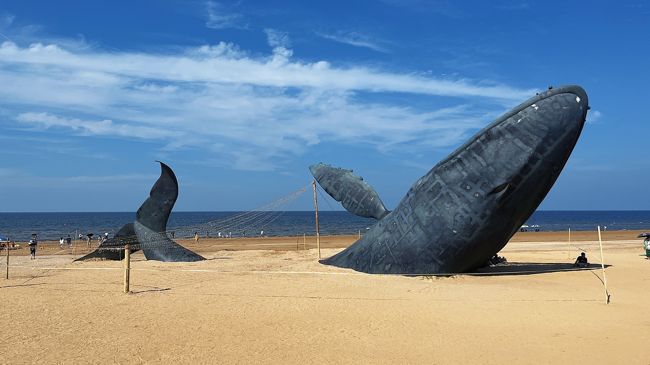 烟台 | 一起看海